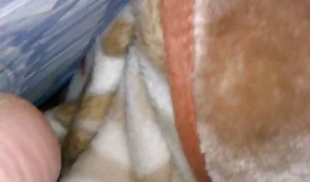 ساشا گری کار ضربه عکسکیر سکسی ای می کند